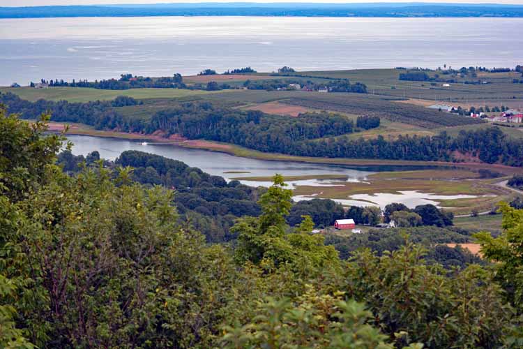 the lookoff